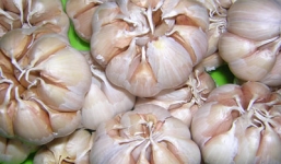 Những đối tượng tuyệt đối không nên ăn tỏi